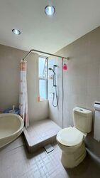 Pandan Valley (D21), Condominium #587861301